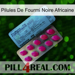 African Black Ant Pills